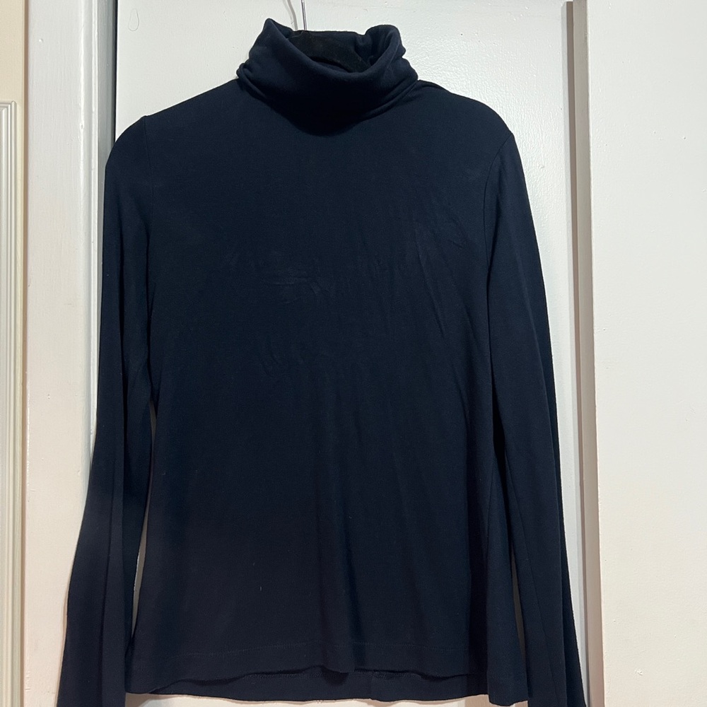 Banana Republic Navy Soft Luxe Sweater